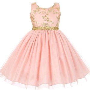Big Girls Junior Girls Embroidered Tulle Golden Lace Flower Girls Dresses Blush